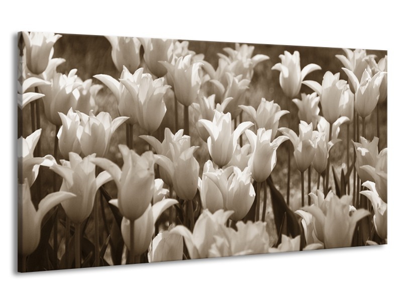 Leesbaarheid hoed media Canvas Schilderij Tulpen, Bloemen | Sepia | 190x100cm 1Luik