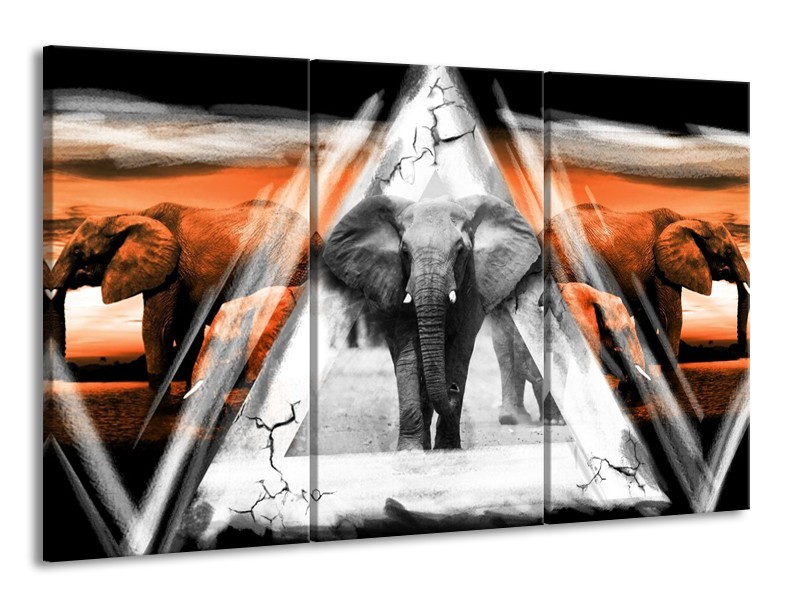 Canvas schilderij Olifant | Oranje, Wit, Grijs | 165x100cm 3Luik