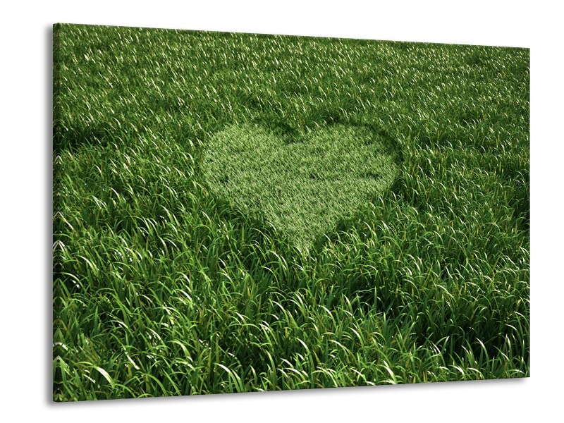 Canvas Schilderij Gras, Hart | Groen | 100x70cm 1Luik
